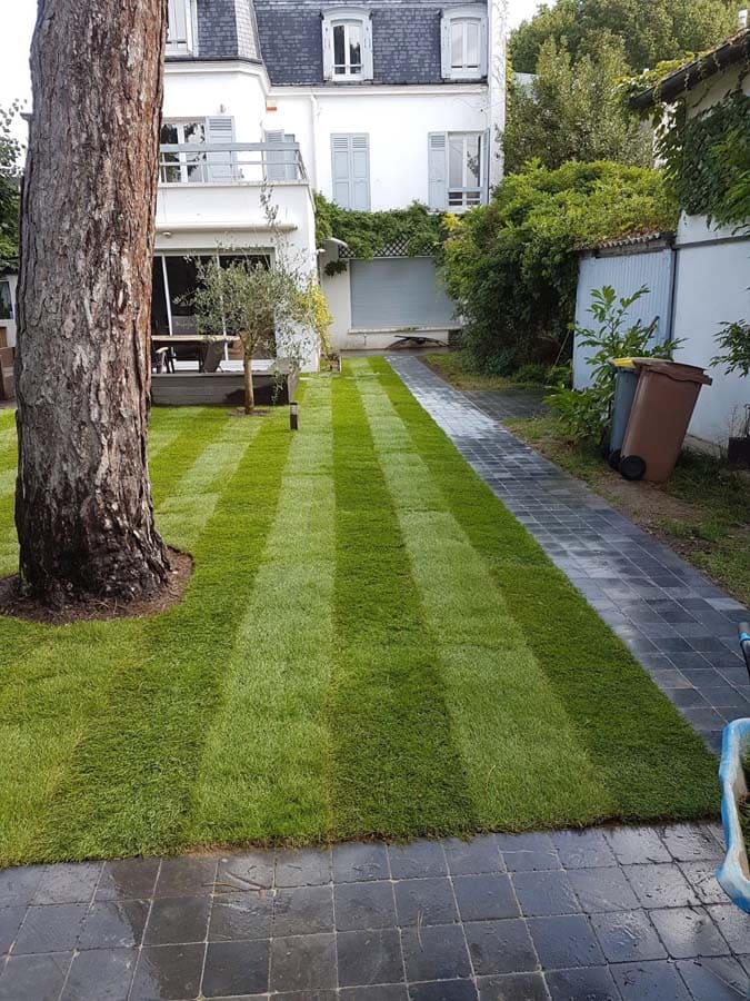Bout de terrain tondu avec une allée de jardin pavée