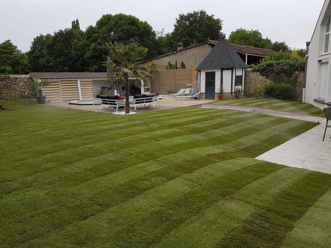 Terrain fraîchement tondu