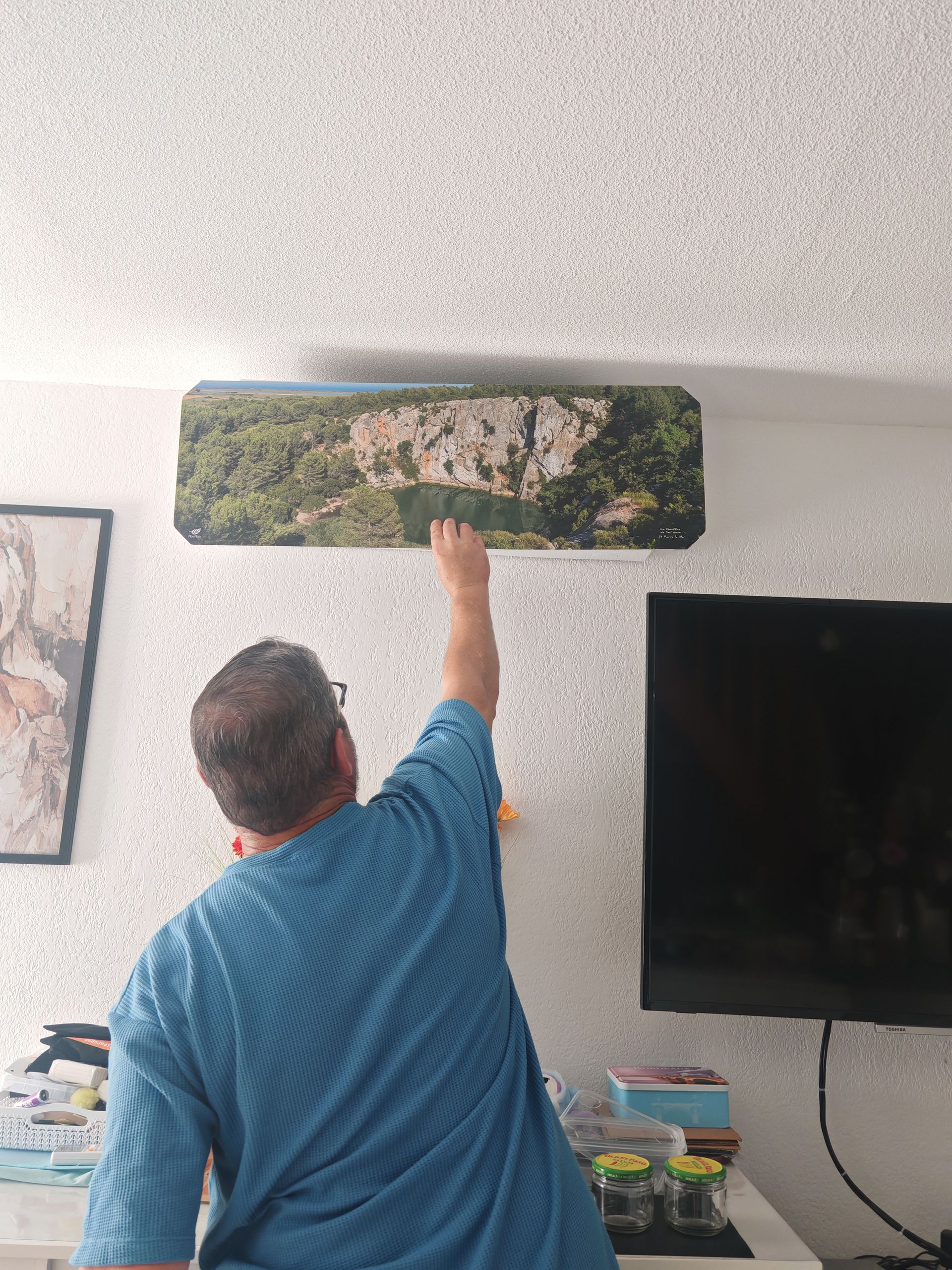 Cache climatiseur avec paysage
