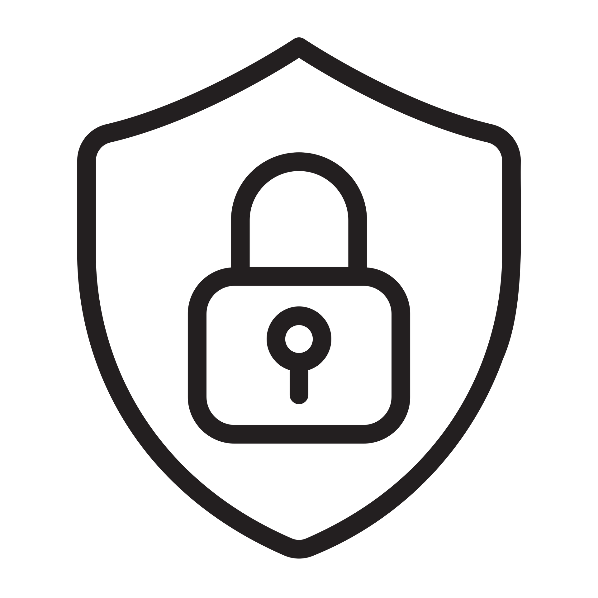 Une icône noire représentant un cadenas centré dans un bouclier, symbolisant la sécurité.