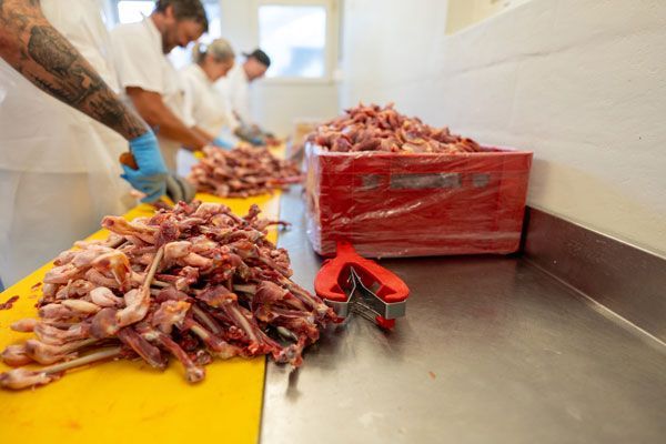 Zwei Männer schneiden in einer Metzgerei Fleisch auf einem Schneidebrett. Fot von der Kopp's Metzg AG