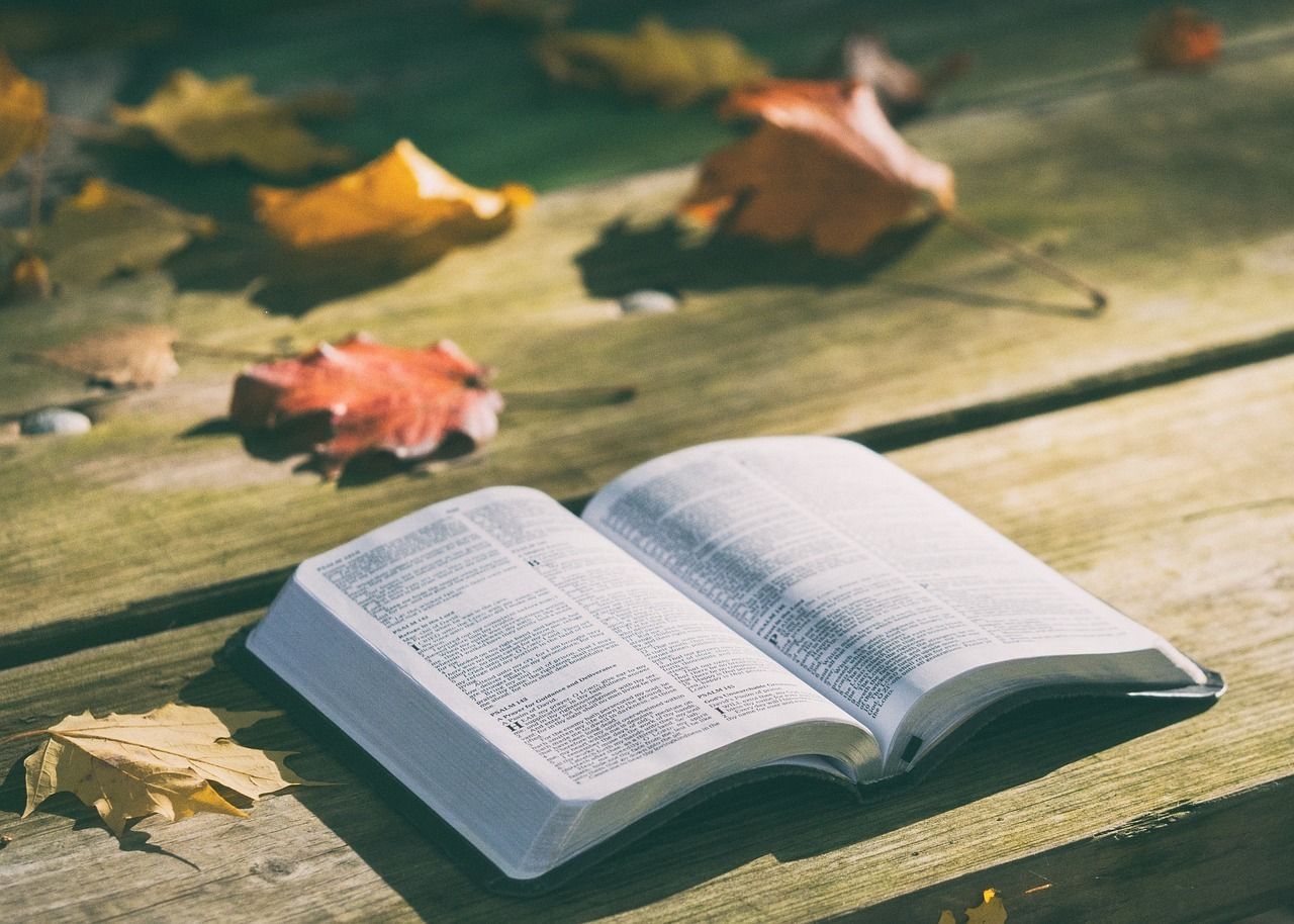 Biblia abierta sobre una superficie de madera con hojas otoñales dispersas. La luz del sol ilumina las páginas.