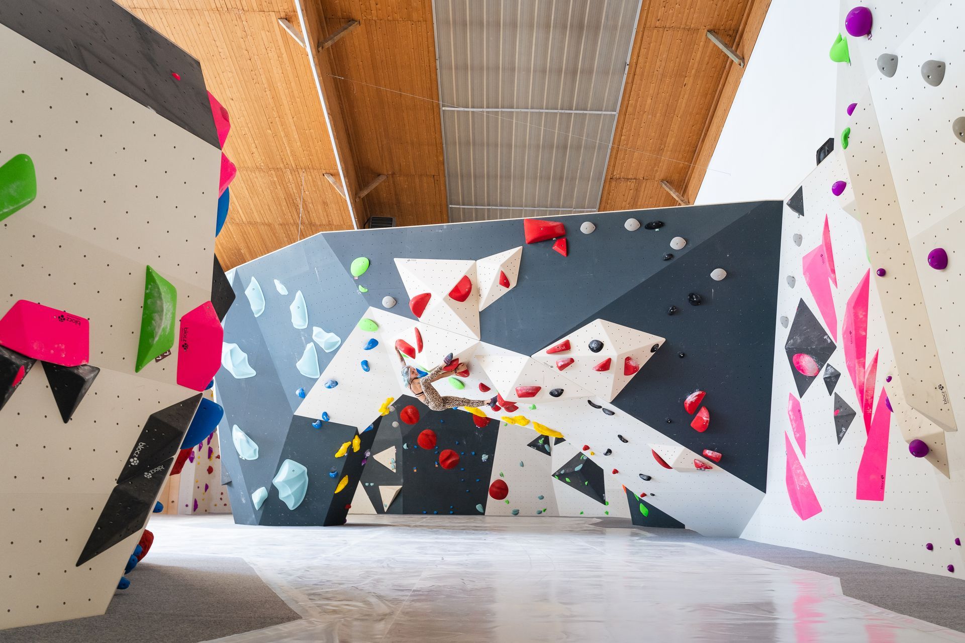 Eine Kletterwand mit vielen Steinen in einer Turnhalle.