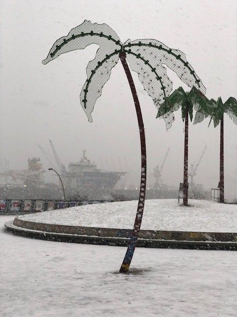 Eine Palme im Schnee mit einem Schiff im Hintergrund