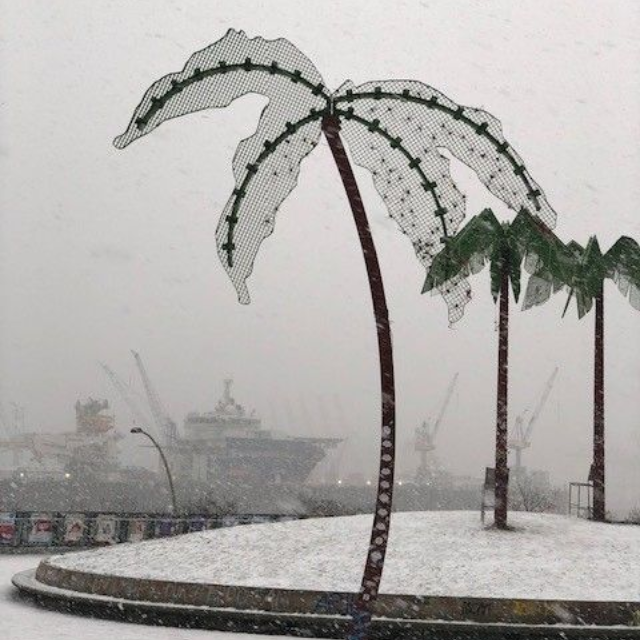 Eine Palme im Schnee mit einem Schiff im Hintergrund
