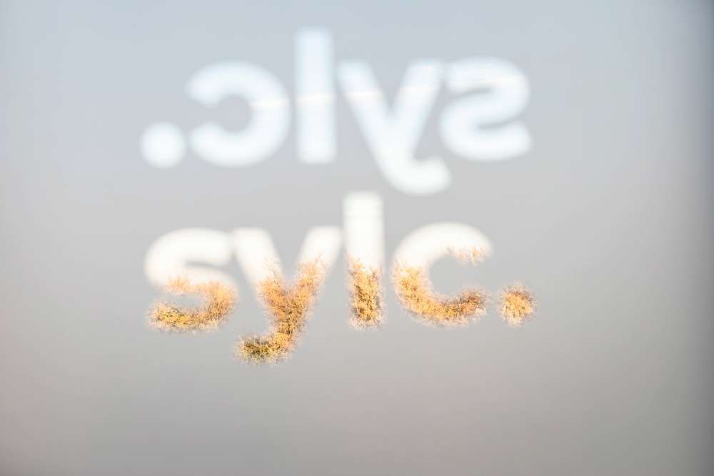 Das wort sylc steht auf einer weißen fläche.