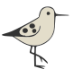 Salty Stays sandpiper illustration