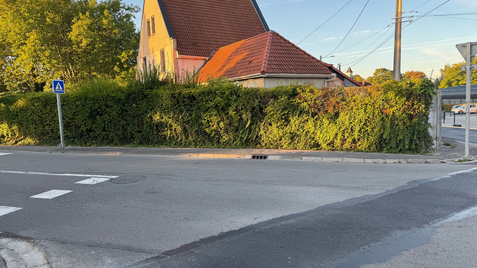 Intersection de route avec une haie, un bâtiment en arrière-plan et un panneau de signalisation à gauche.