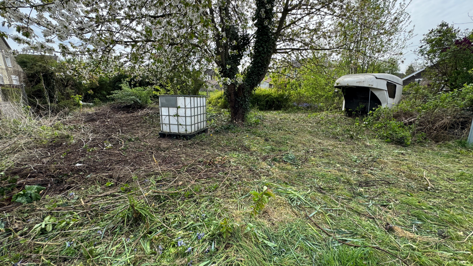 Une cour avec un arbre, une poubelle blanche et une structure sombre et creuse, envahie par l'herbe et les débris.