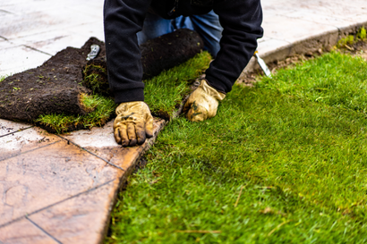 Une personne pose du gazon le long d'une allée en pierre, les mains portant des gants de travail.