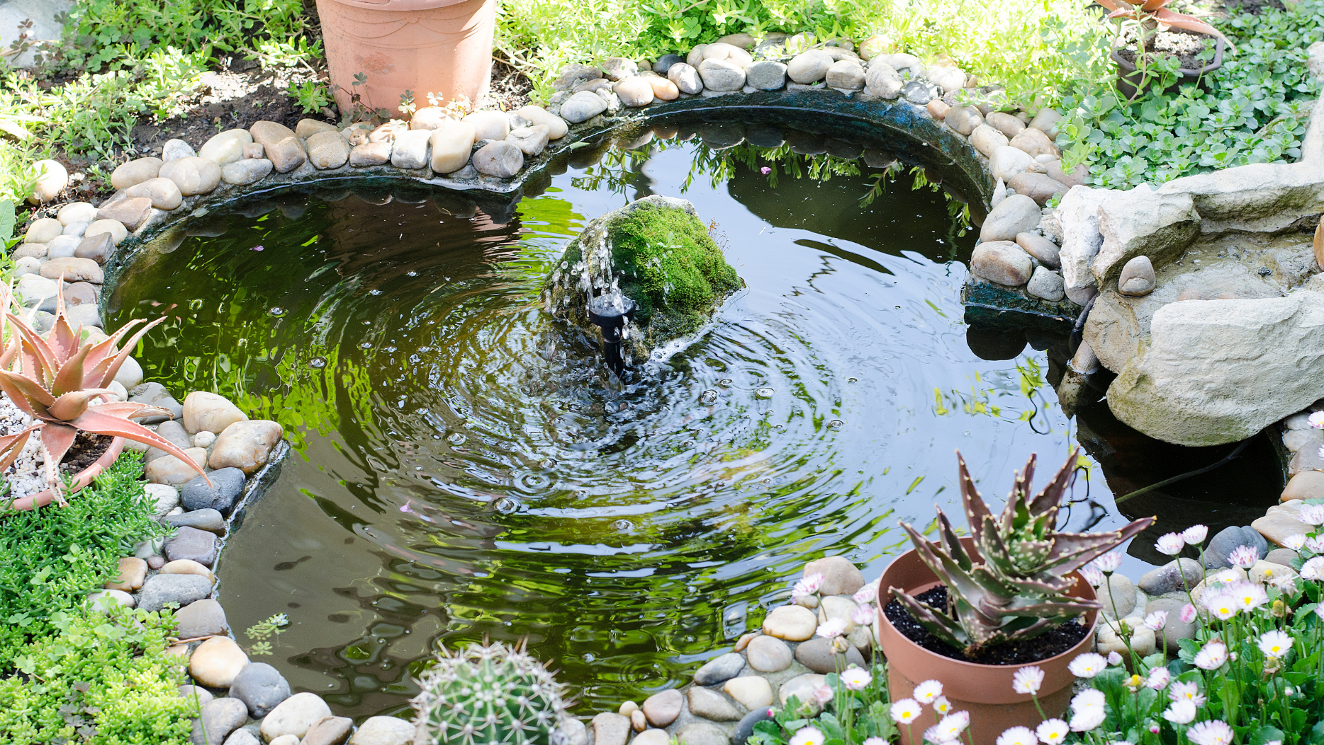 Petit étang en forme de cœur entouré de rochers, de plantes et de pots, avec jeu d'eau.