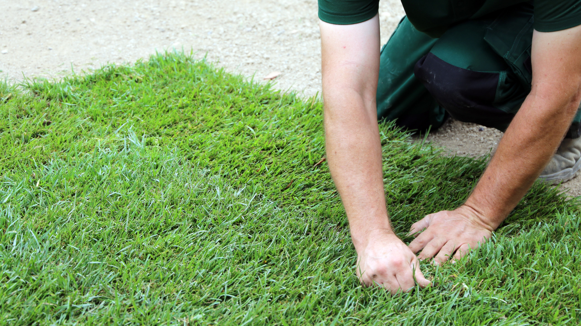 Une personne pose du gazon et le tasse. Herbe verte, sol sablonneux et tenue verte.