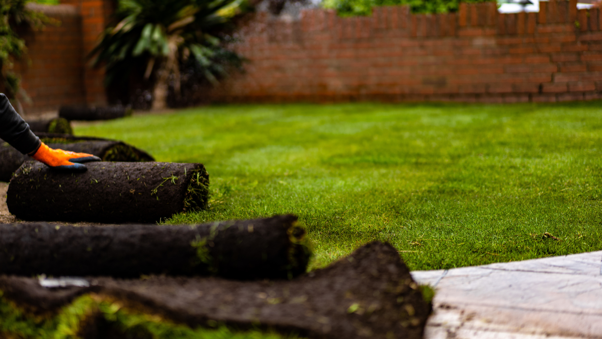 Une personne pose des rouleaux de gazon pour créer une nouvelle pelouse verte devant un mur de briques.