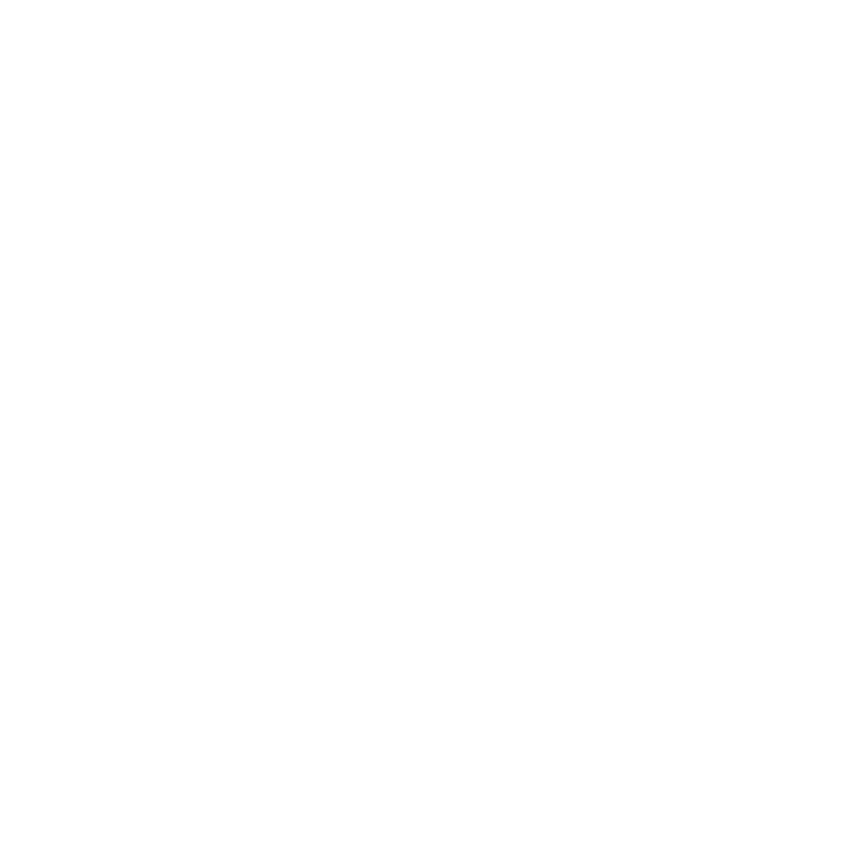 Toile blanche vierge.