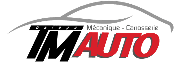 Logo de TM AUTO