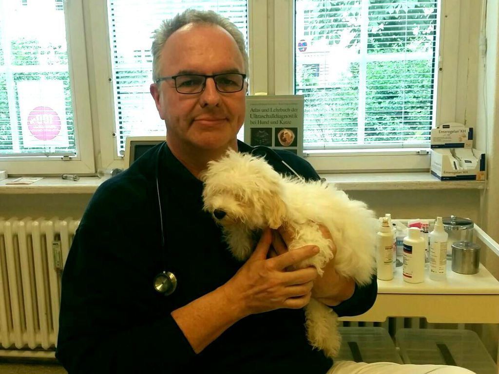 Bild von Tierarzt Utz-Peter mit kleinem Hund im Arm