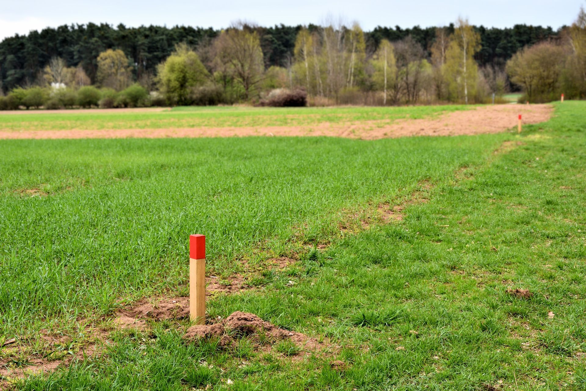 Une borne sur un terrain