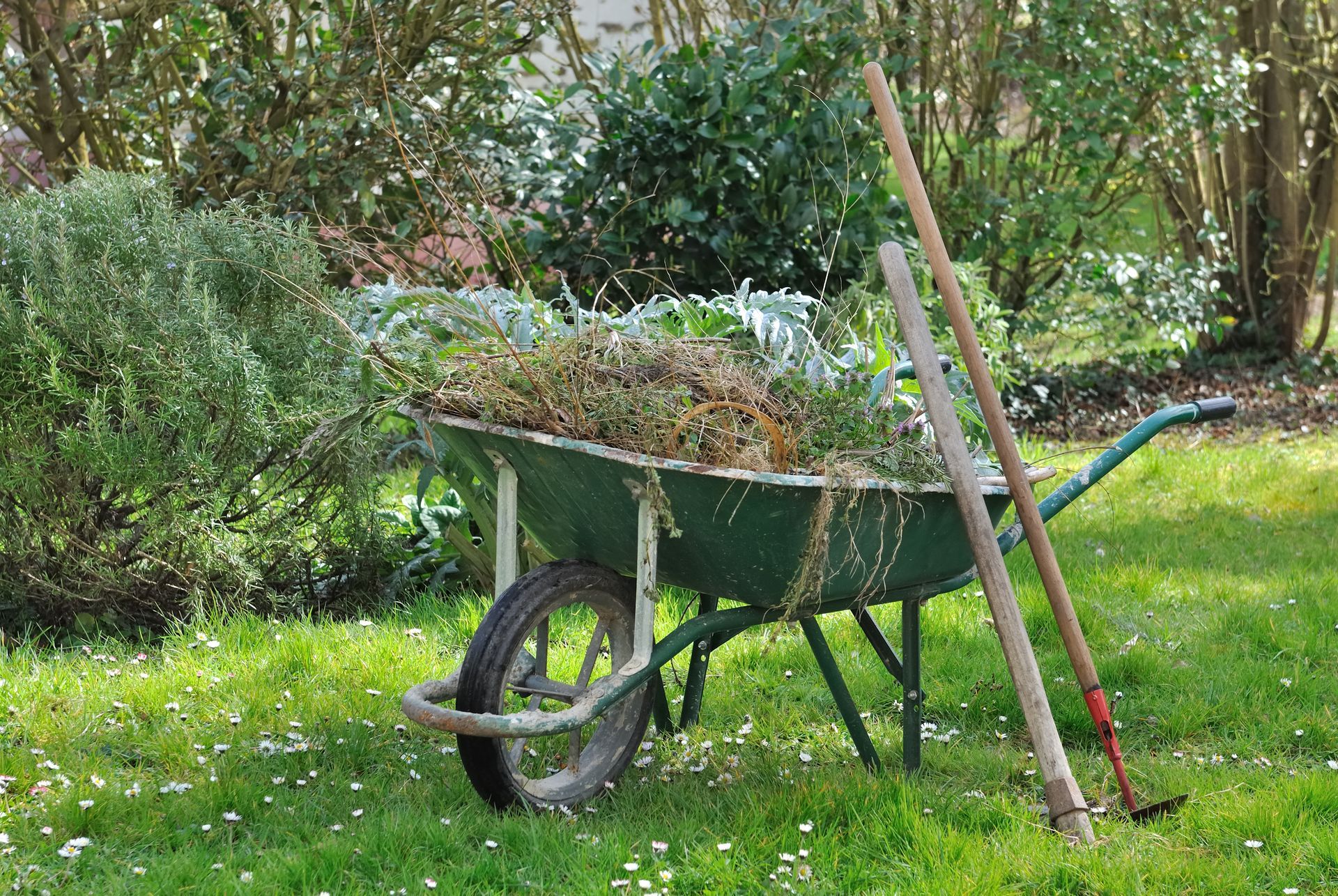 Brouette verte pleine de débris de jardin avec un râteau et une houe
