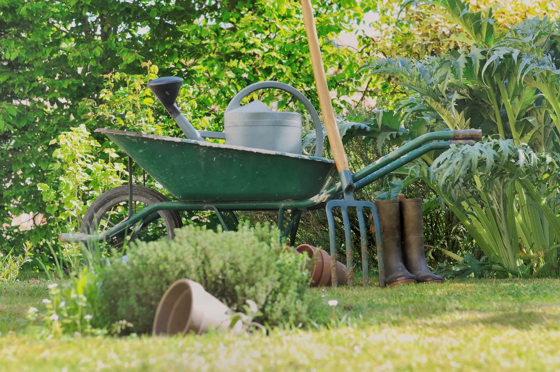 Brouette verte dans un jardin avec outils, bottes et plantes