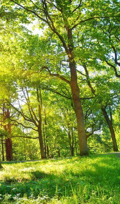 Paysagiste à Écully