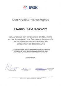 Es ist eine urkunde auf der dario damjanovic steht.