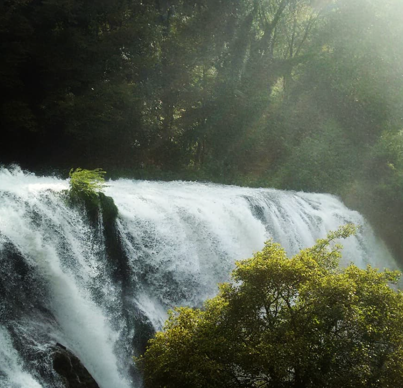 Una cascada en medio de un bosque con árboles en primer plano.