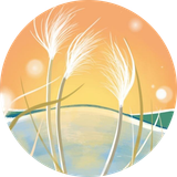 imagen footer