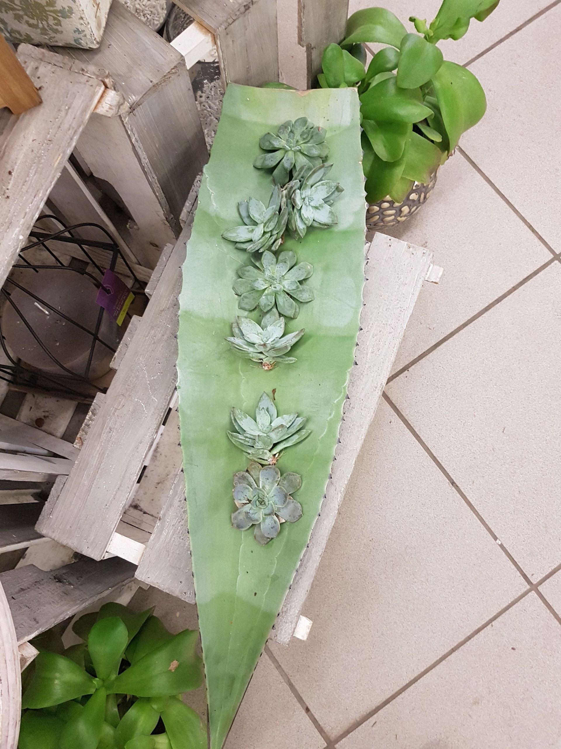 Boutique de fleurs - Design Flowers - Crans-Montana