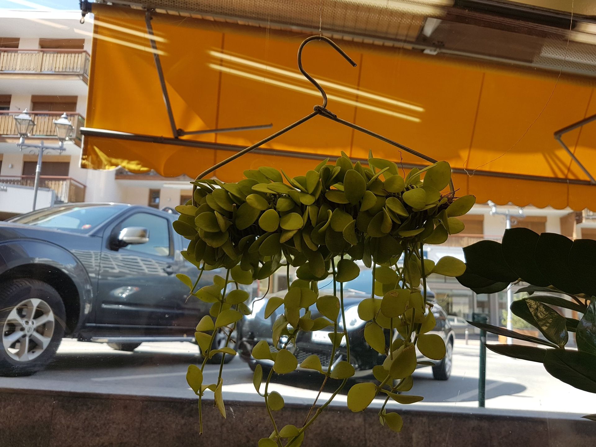 Boutique de fleurs - Design Flowers - Crans-Montana