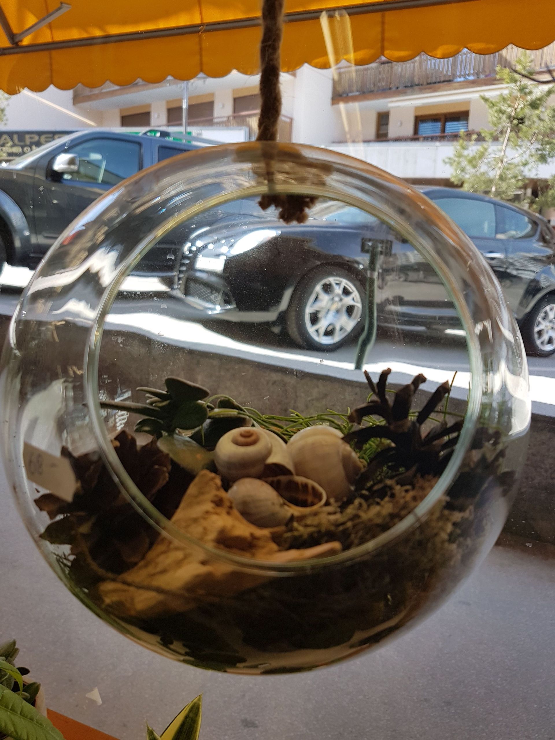 Boutique de fleurs - Design Flowers - Crans-Montana