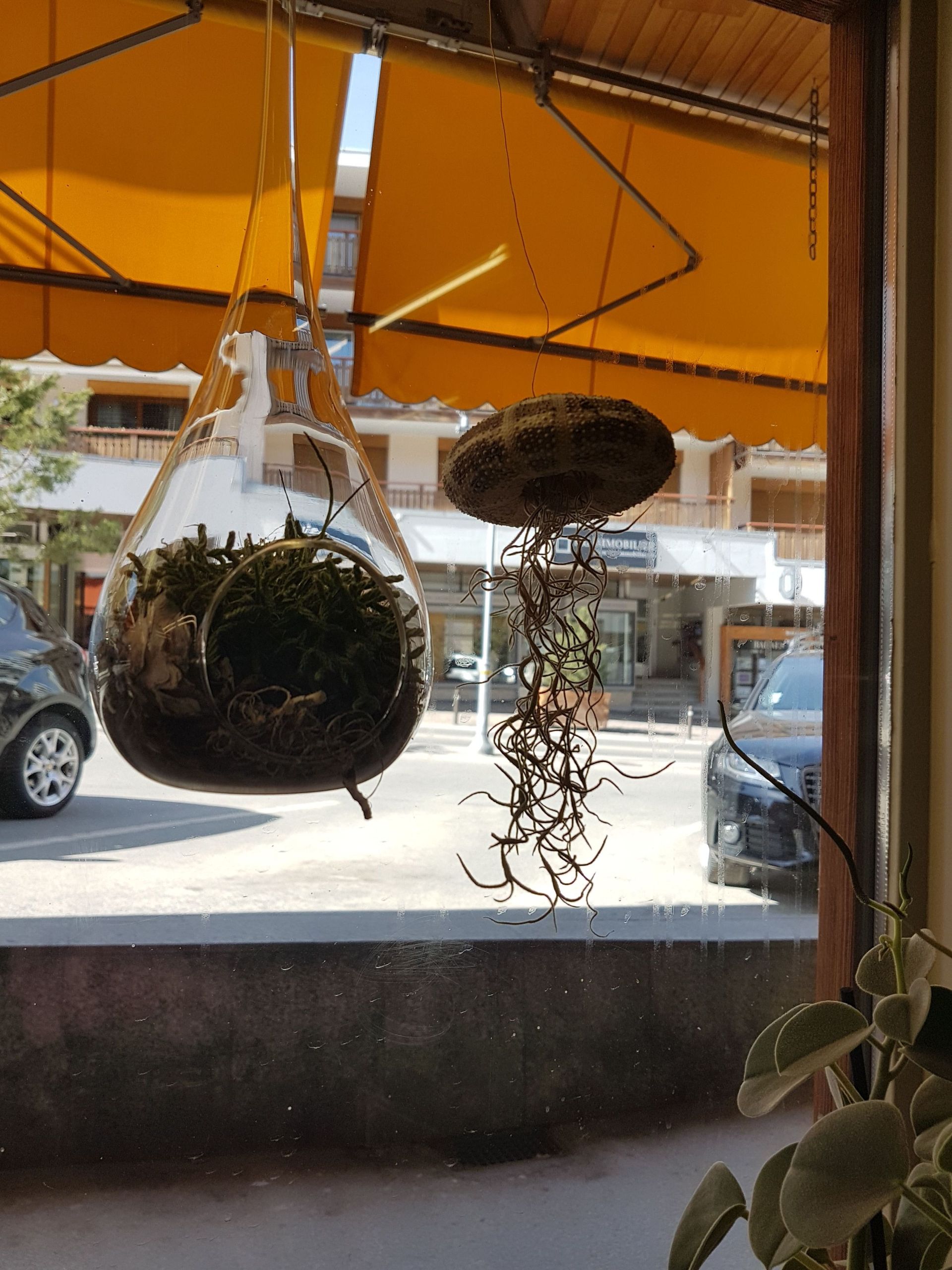 Boutique de fleurs - Design Flowers - Crans-Montana