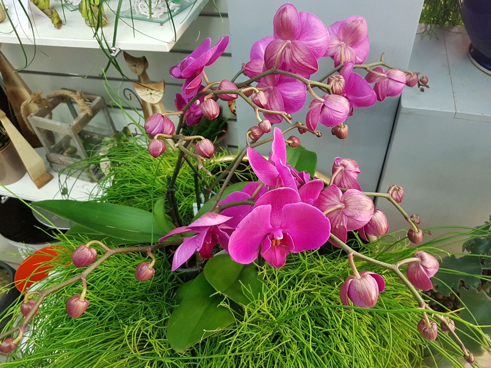 Boutique de fleurs - Design Flowers - Crans-Montana