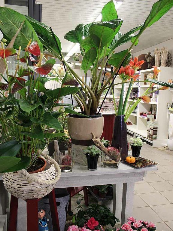 Boutique de fleurs - Design Flowers - Crans-Montana