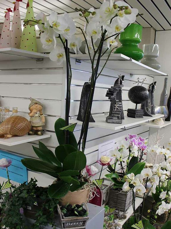 Boutique de fleurs - Design Flowers - Crans-Montana