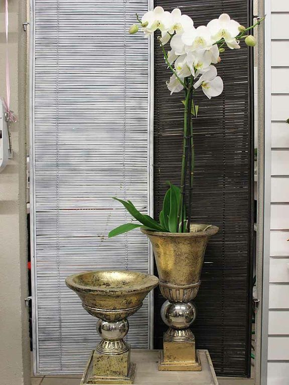 Design Flowers | Crans-Montana