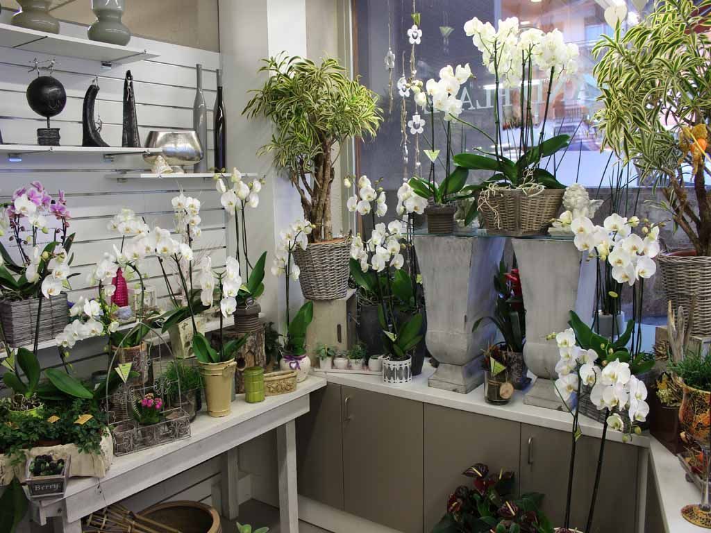 Design Flowers | Crans-Montana