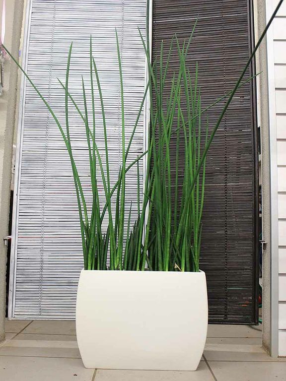 Boutique de fleurs - Design Flowers - Crans-Montana