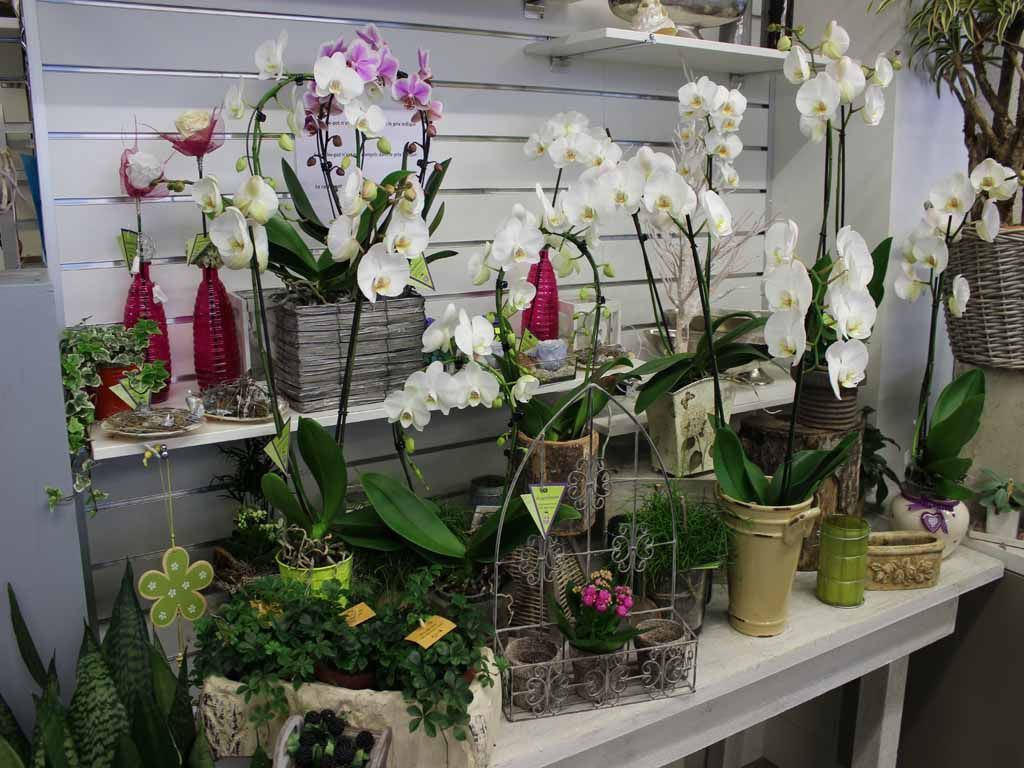 Boutique de fleurs - Design Flower - Crans-Montana