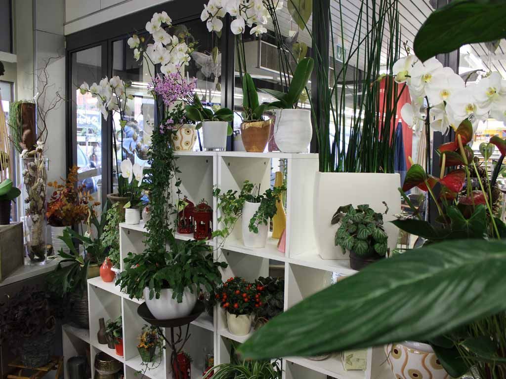 Design Flowers | Crans-Montana