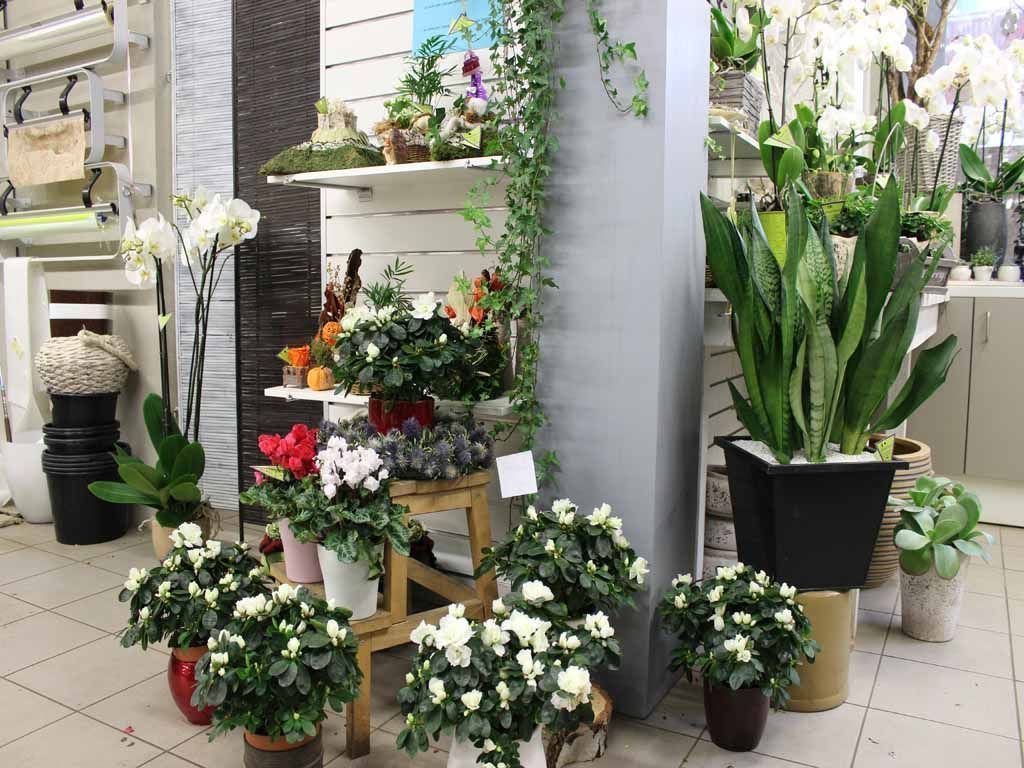 Design Flowers | Crans-Montana