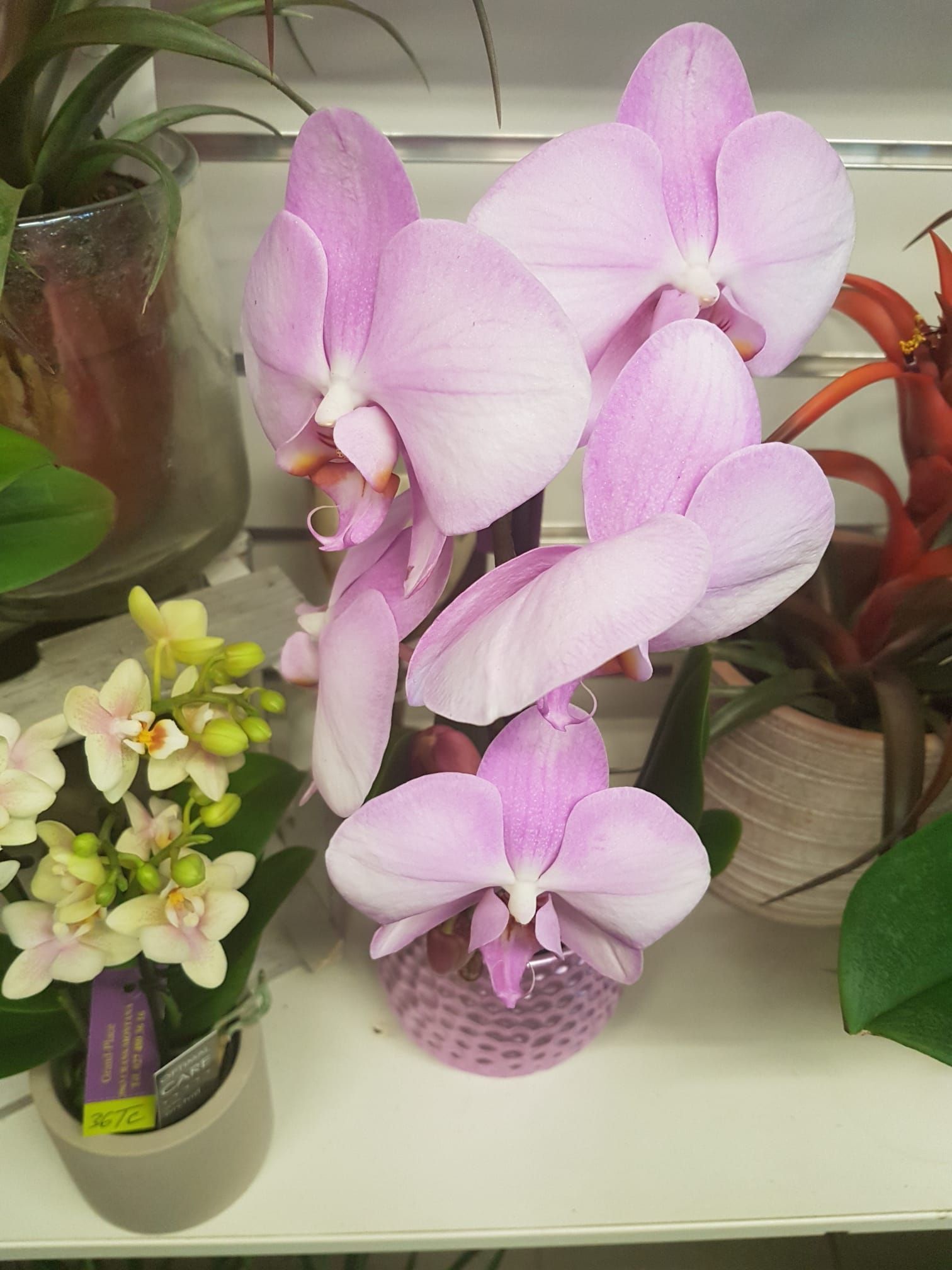 Design Flowers | Crans-Montana