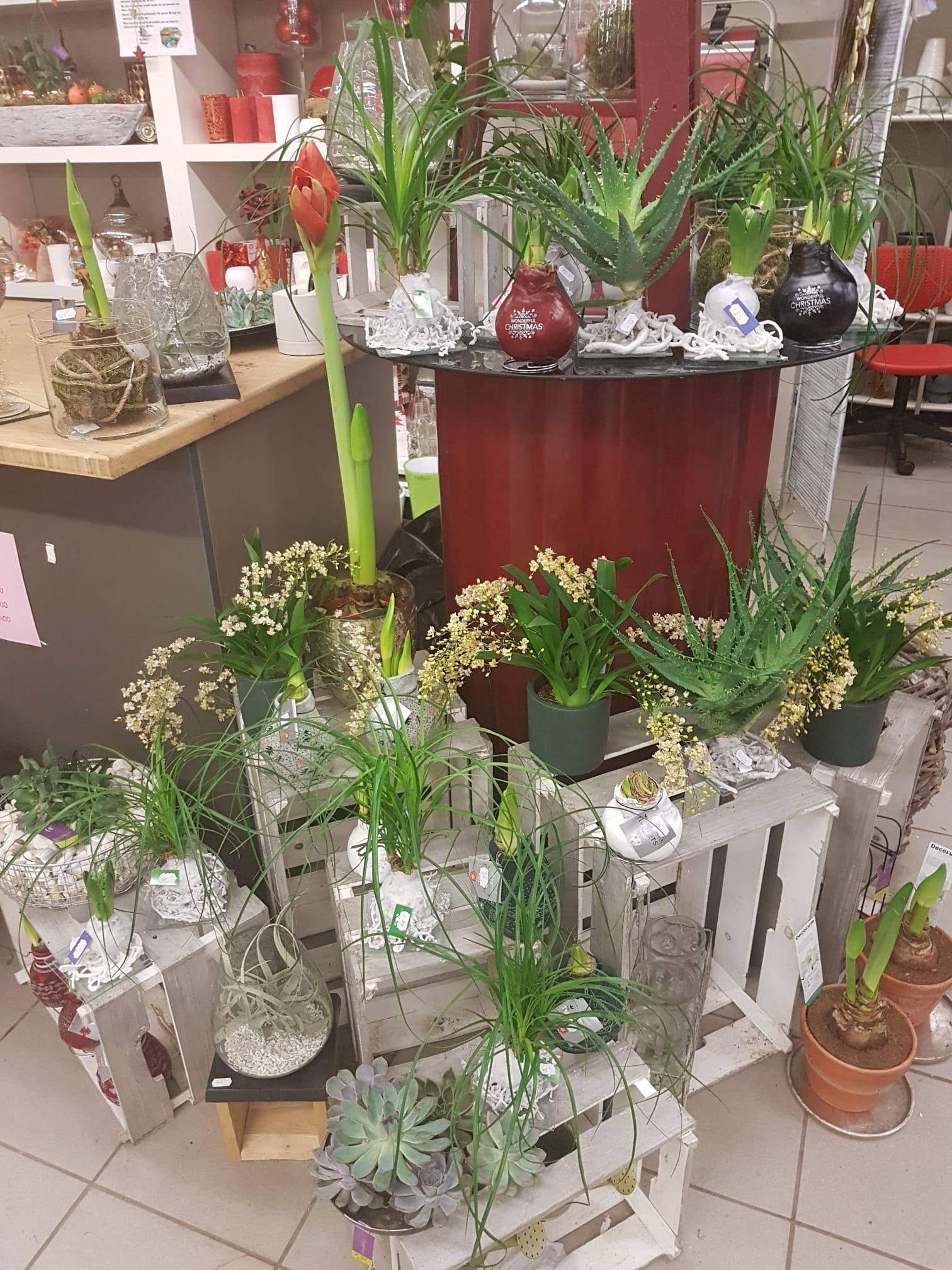 Design Flowers | Crans-Montana