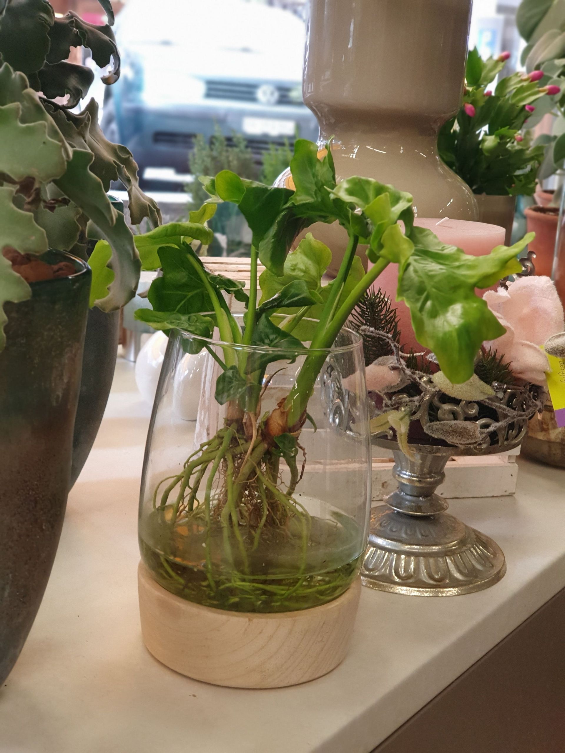 Boutique de fleurs - Design Flowers - Crans-Montana