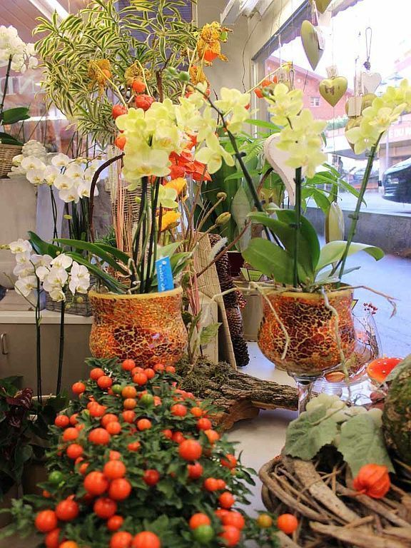 Boutique de fleurs - Design Flowers - Crans-Montana