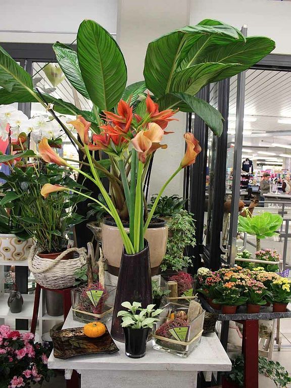 Boutique de fleurs - Design Flowers - Crans-Montana