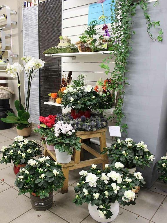 Boutique de fleurs - Design Flowers - Crans-Montana