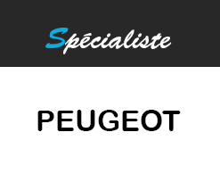 Logo Peugeot - Garage Transalpin SA