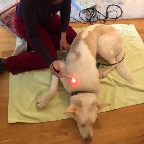 Cromostim® - Eveil Okami