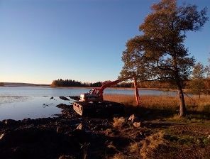 Kaivinkone järven rannalla auringonlaskun aikaan, puu etualalla