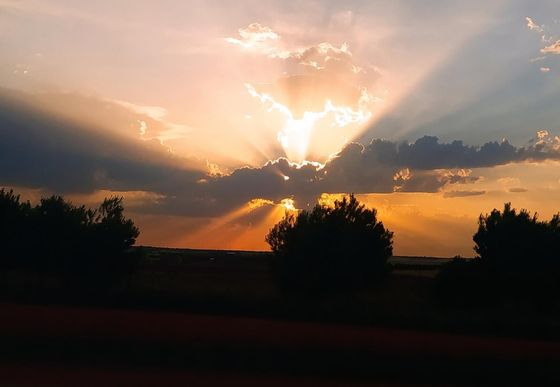 Puesta de sol sobre un campo rural con árboles recortados contra las siluetas y espectaculares rayos de sol atravesando las nubes.